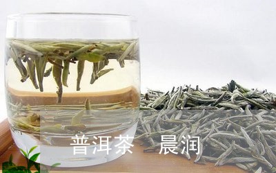 普洱茶 晨润/2023091327573